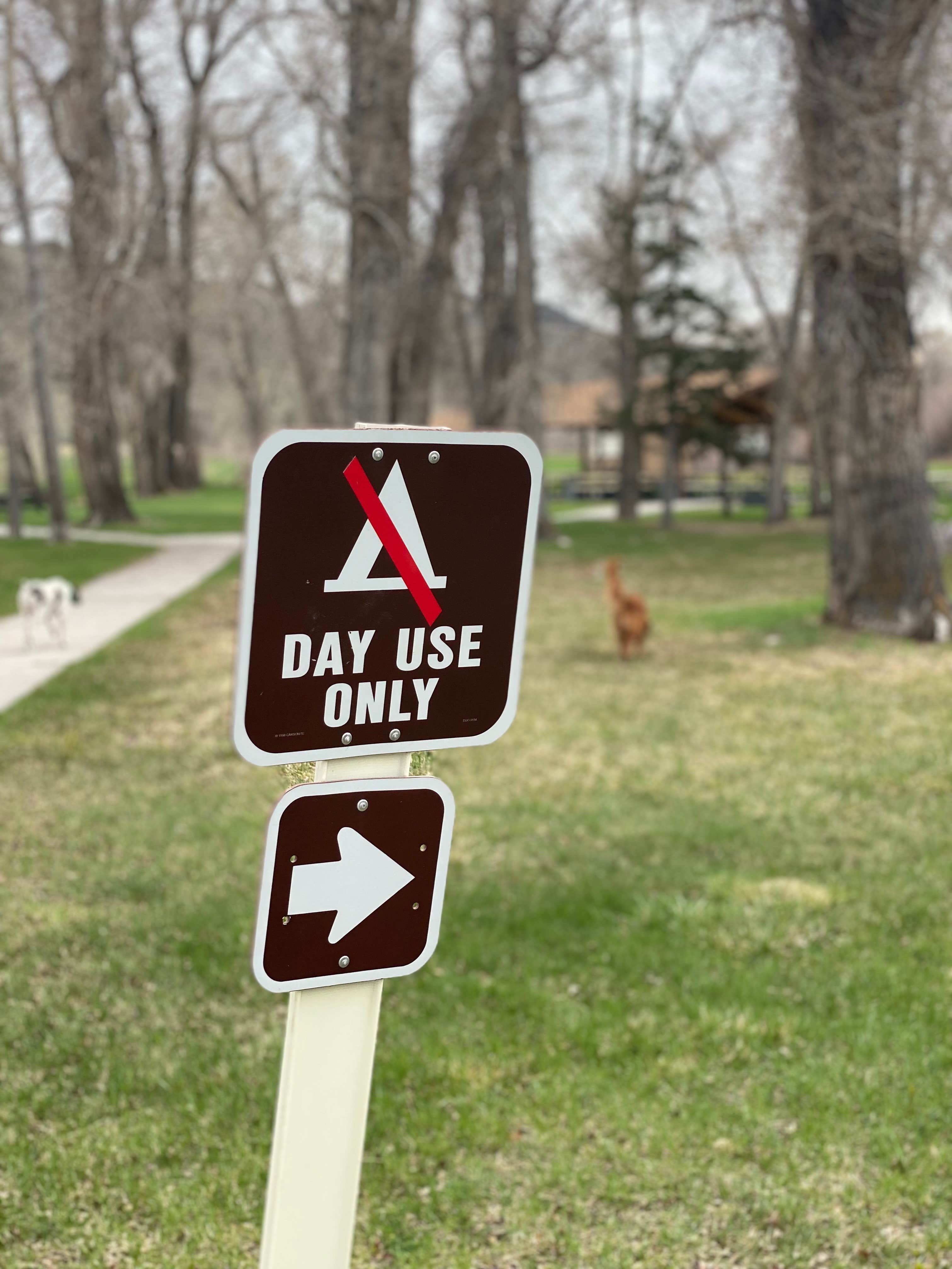 Camper-submitted photo at Barretts Park - USBR near Dillon, MT
