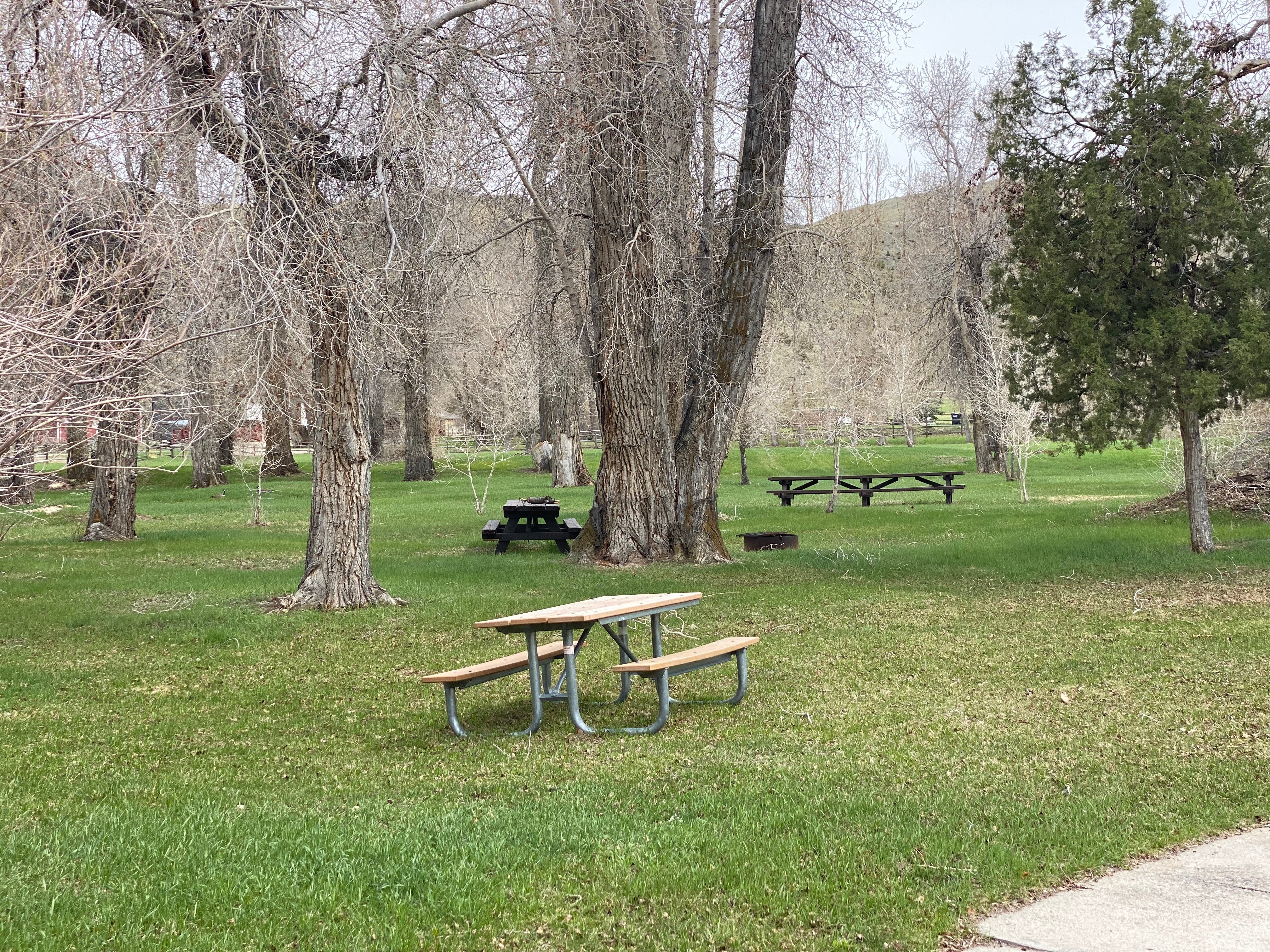 Camper submitted image from Barretts Park - USBR - 1