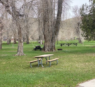 Camper-submitted photo from Barretts Park - USBR