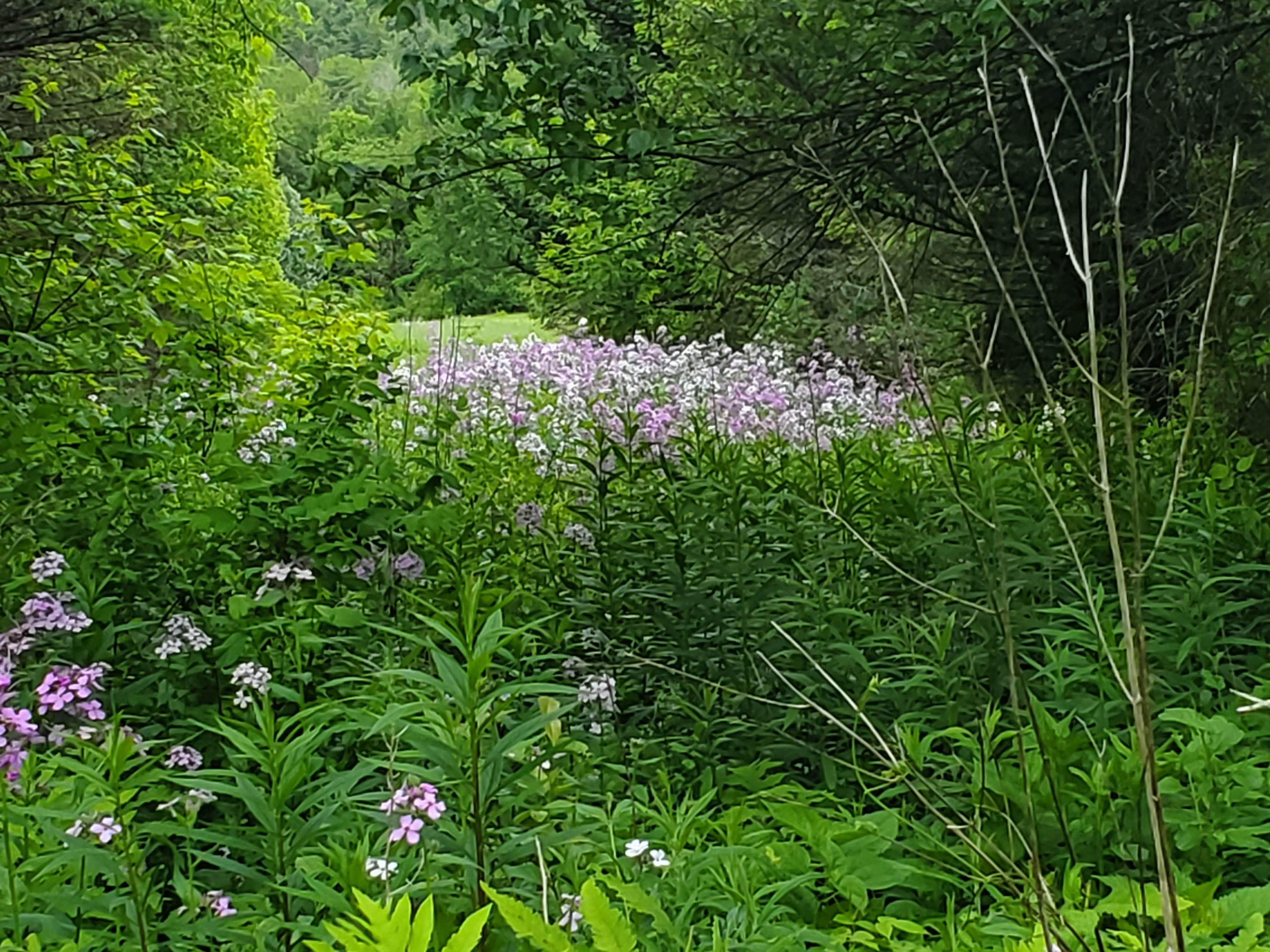 Camper-submitted photo at Adirondack Acres Trail and Camps near Keeseville, NY