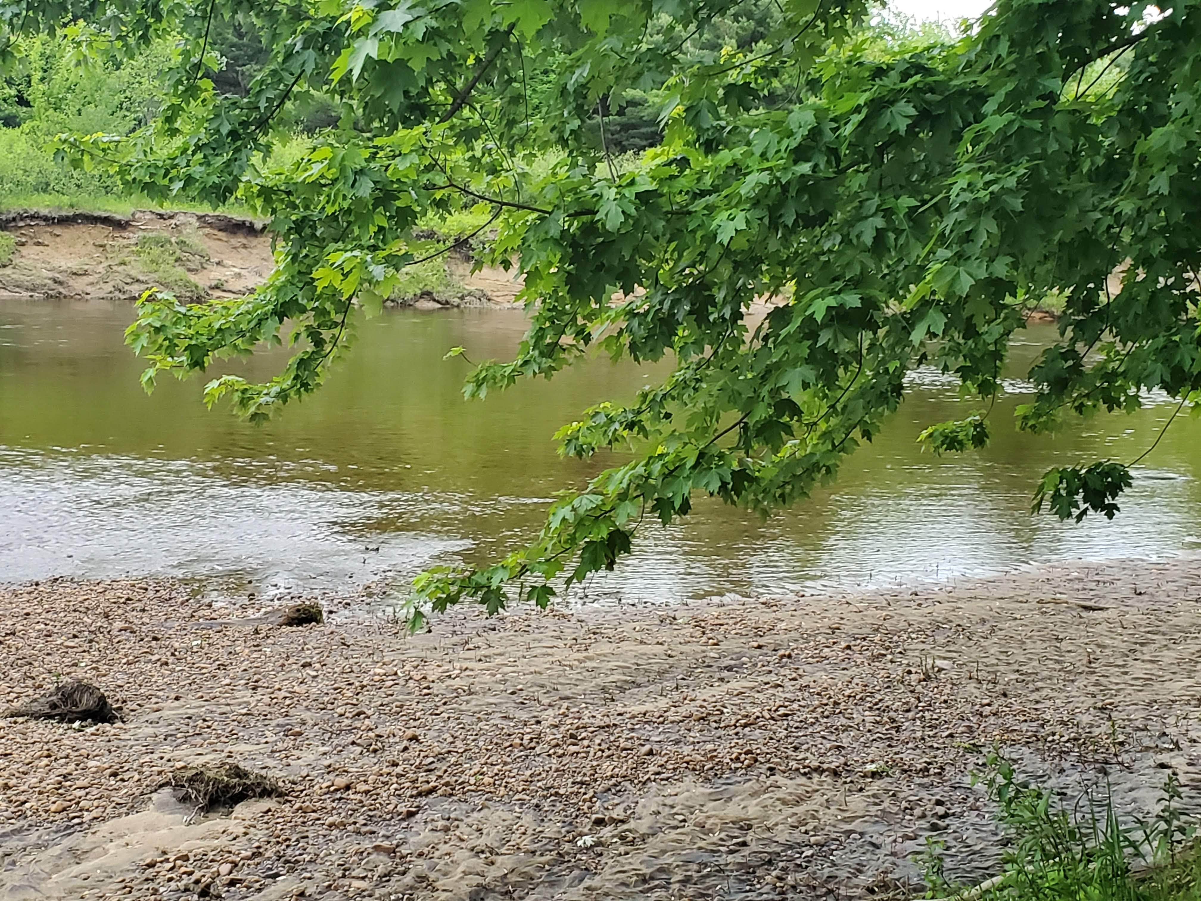 Glenn&Tina M.'s photo of camping with pets at Adirondack Acres Trail and Camps near Paul Smiths, NY