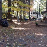 Review photo of Ammonoosuc Campground by Jean C., October 10, 2018