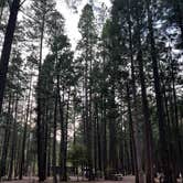 Review photo of Jubilee Railroad Wilderness Lodge & Campground was Railroad Park Resort by Travis A., May 11, 2023