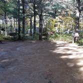 Review photo of Ammonoosuc Campground by Jean C., October 10, 2018