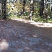 Review photo of Ammonoosuc Campground by Jean C., October 10, 2018