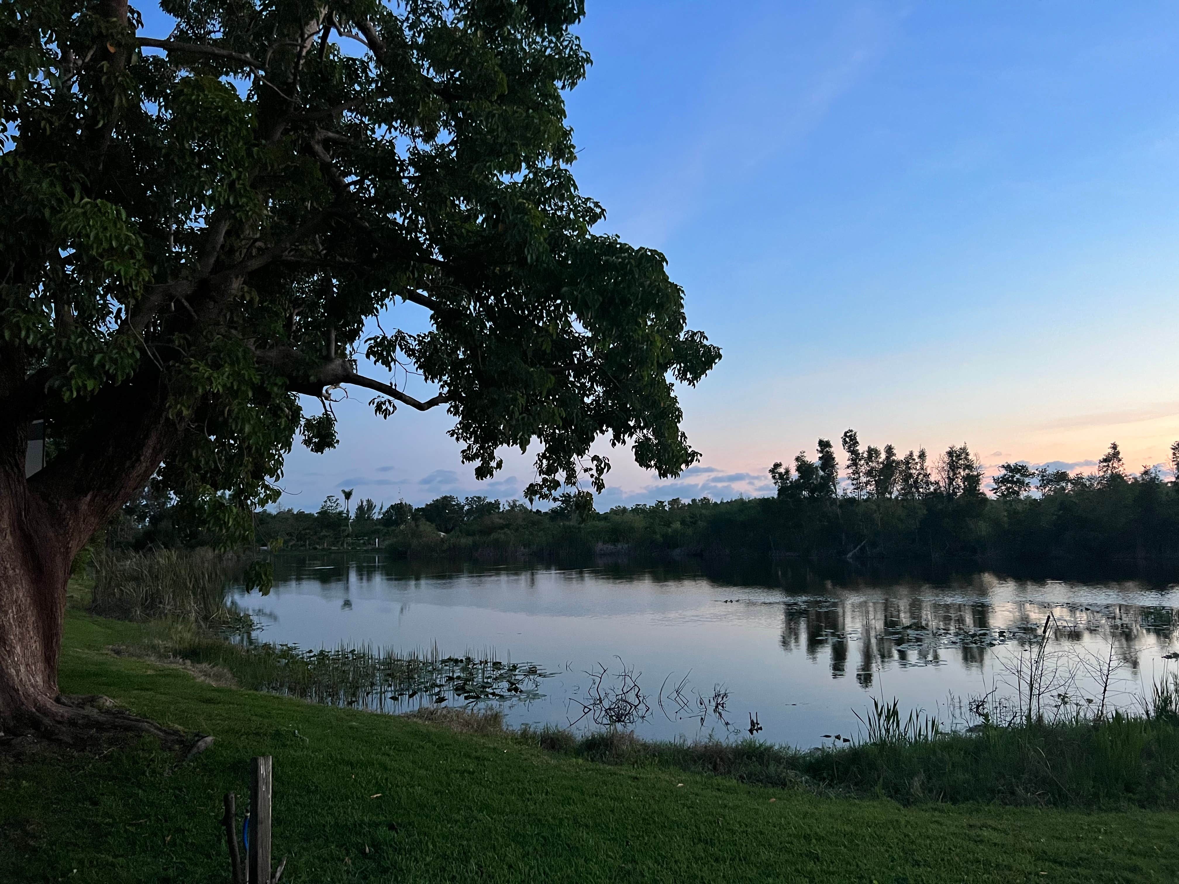 Camping near Sun Resorts & Residences Sanibel Gateway: Lakes Park RV, Fort Myers, Florida