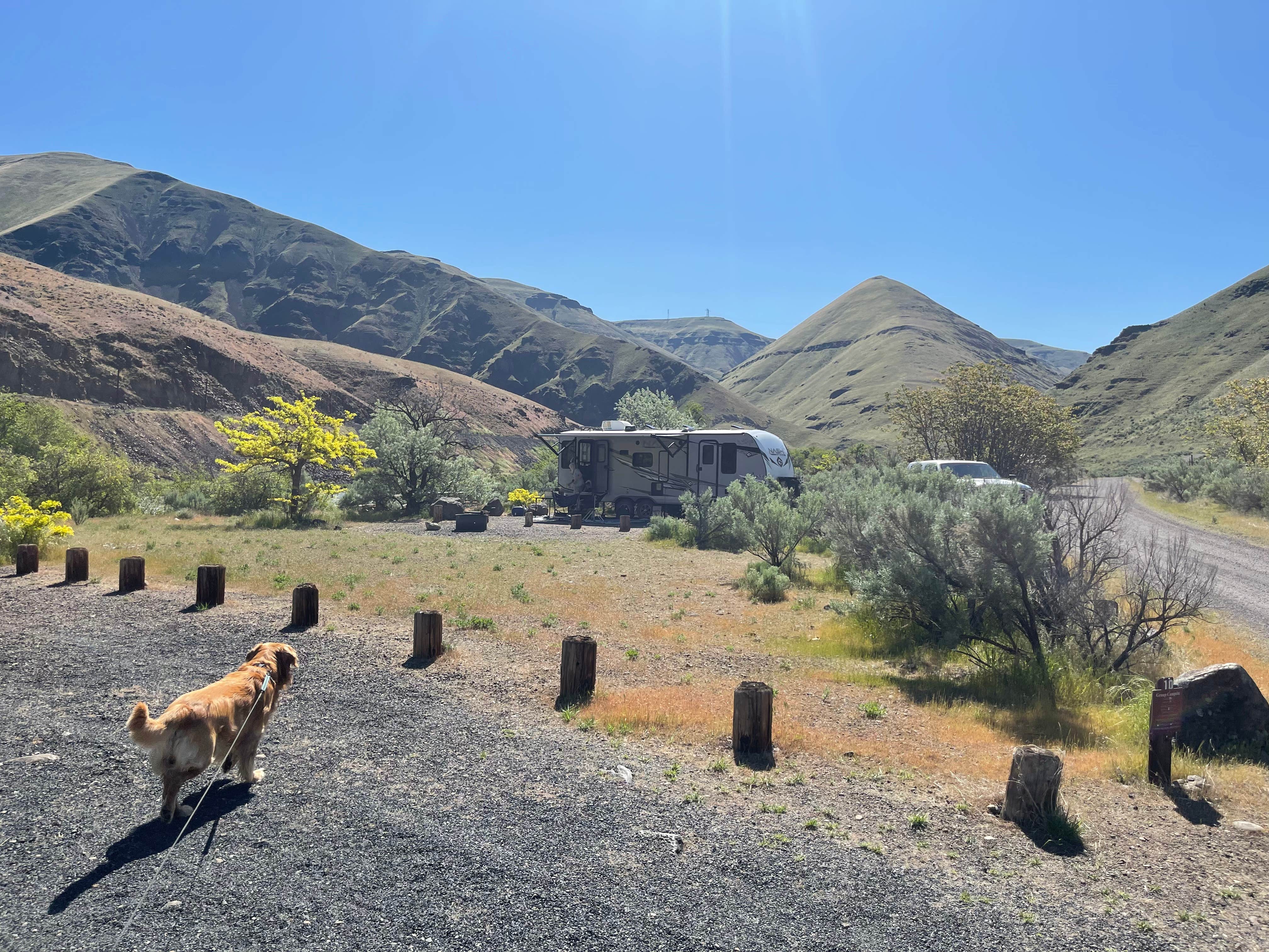 James W.'s photo of camping with pets at Macks Canyon Recreation Site near Dufur, OR