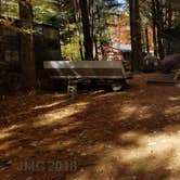 Review photo of Ammonoosuc Campground by Jean C., October 10, 2018