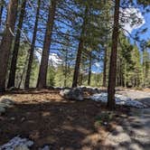 Review photo of Donner Memorial State Park Campground by Laura M., May 11, 2023