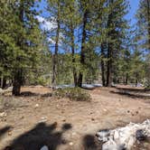 Review photo of Donner Memorial State Park Campground by Laura M., May 11, 2023