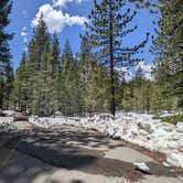 Review photo of Donner Memorial State Park Campground by Laura M., May 11, 2023