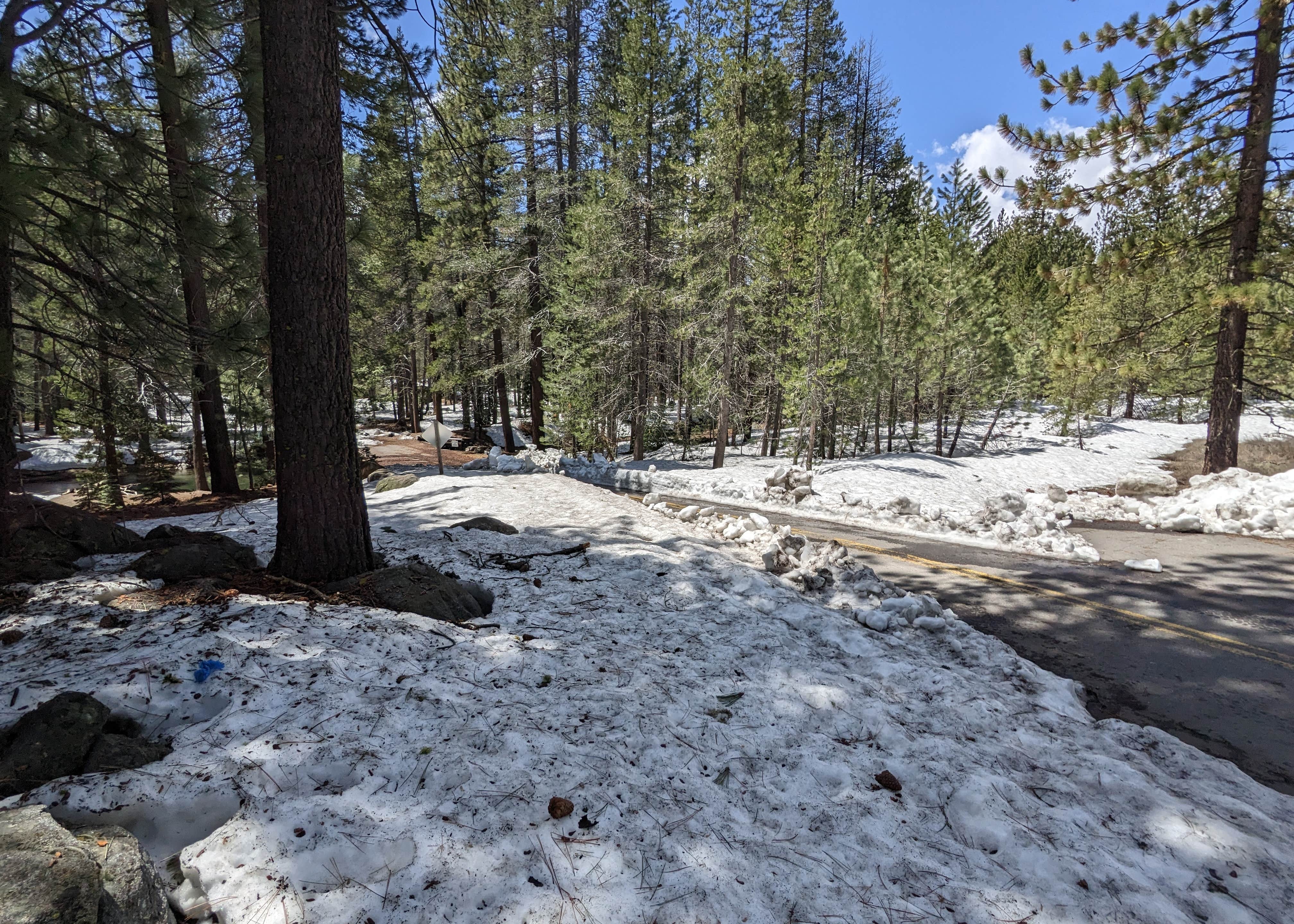 are dogs allowed at donner memorial state park