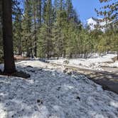 Review photo of Donner Memorial State Park Campground by Laura M., May 11, 2023