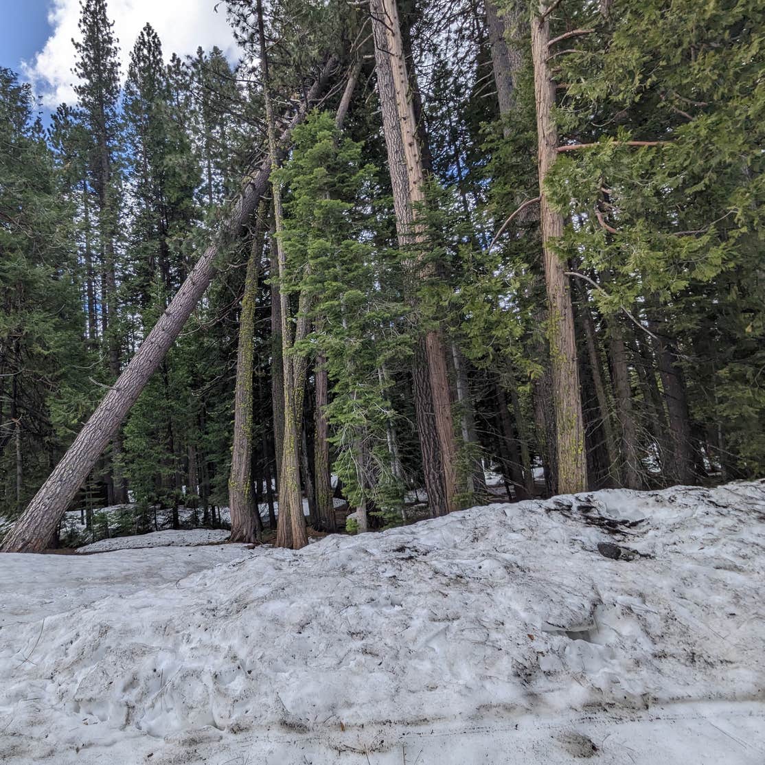 Indian Springs Camping Camptonville, CA