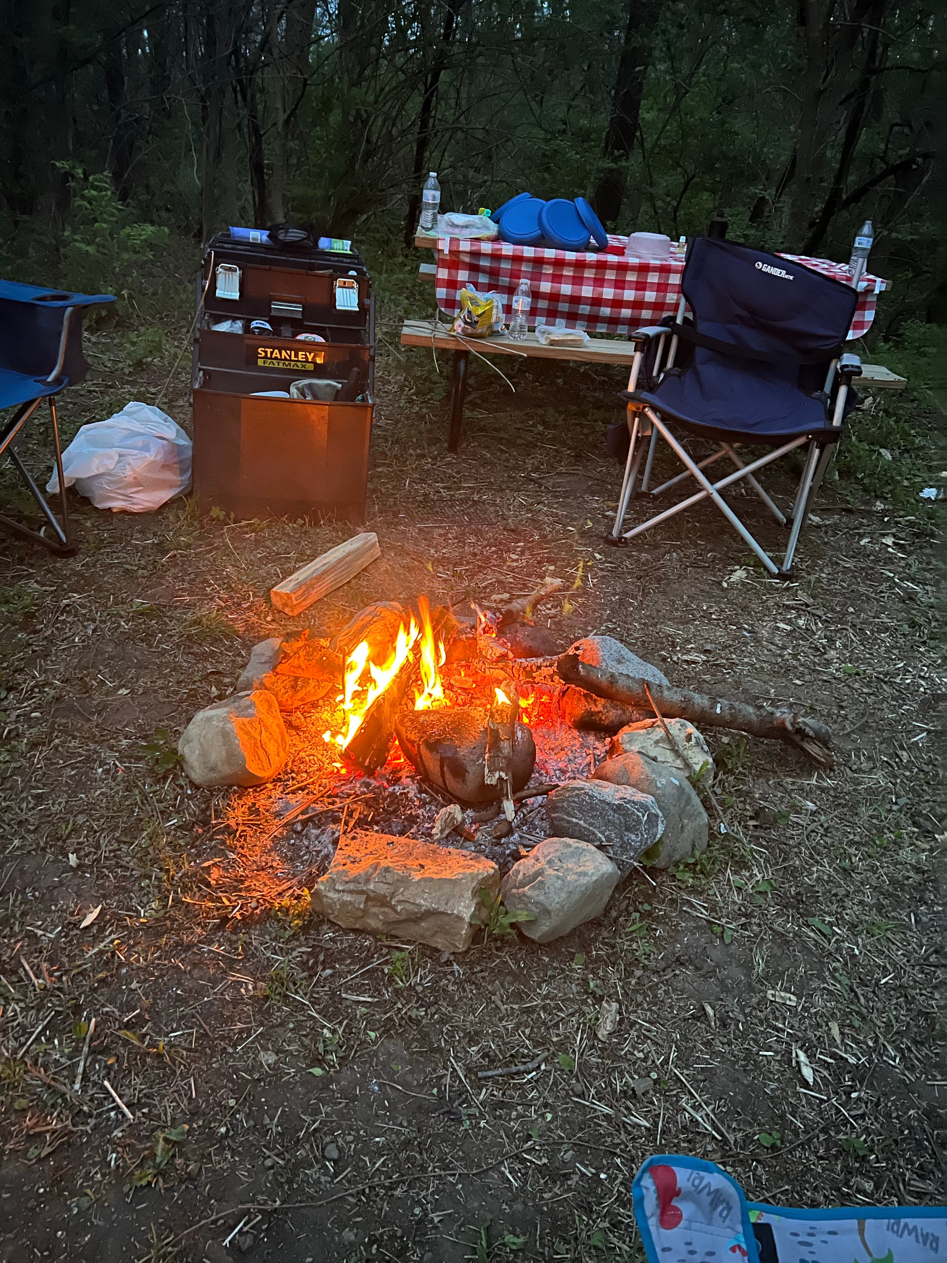 Camper submitted image from Starved Rock Family Campground - 1