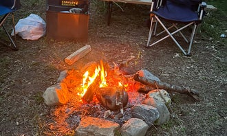 Camping near Starved Rock Campground — Starved Rock State Park: Starved Rock Family Campground, North Utica, Illinois