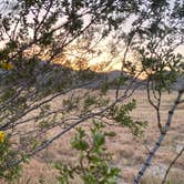 Review photo of Blair Valley Primitive Campground — Anza-Borrego Desert State Park by s E., May 11, 2023