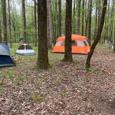 Review photo of Meeman-Shelby Forest State Park by Tim P., May 11, 2023