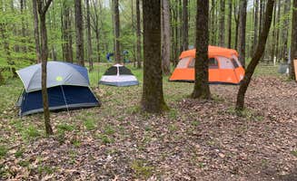 Tim P.'s photo at Meeman-Shelby Forest State Park near Osceola, AR