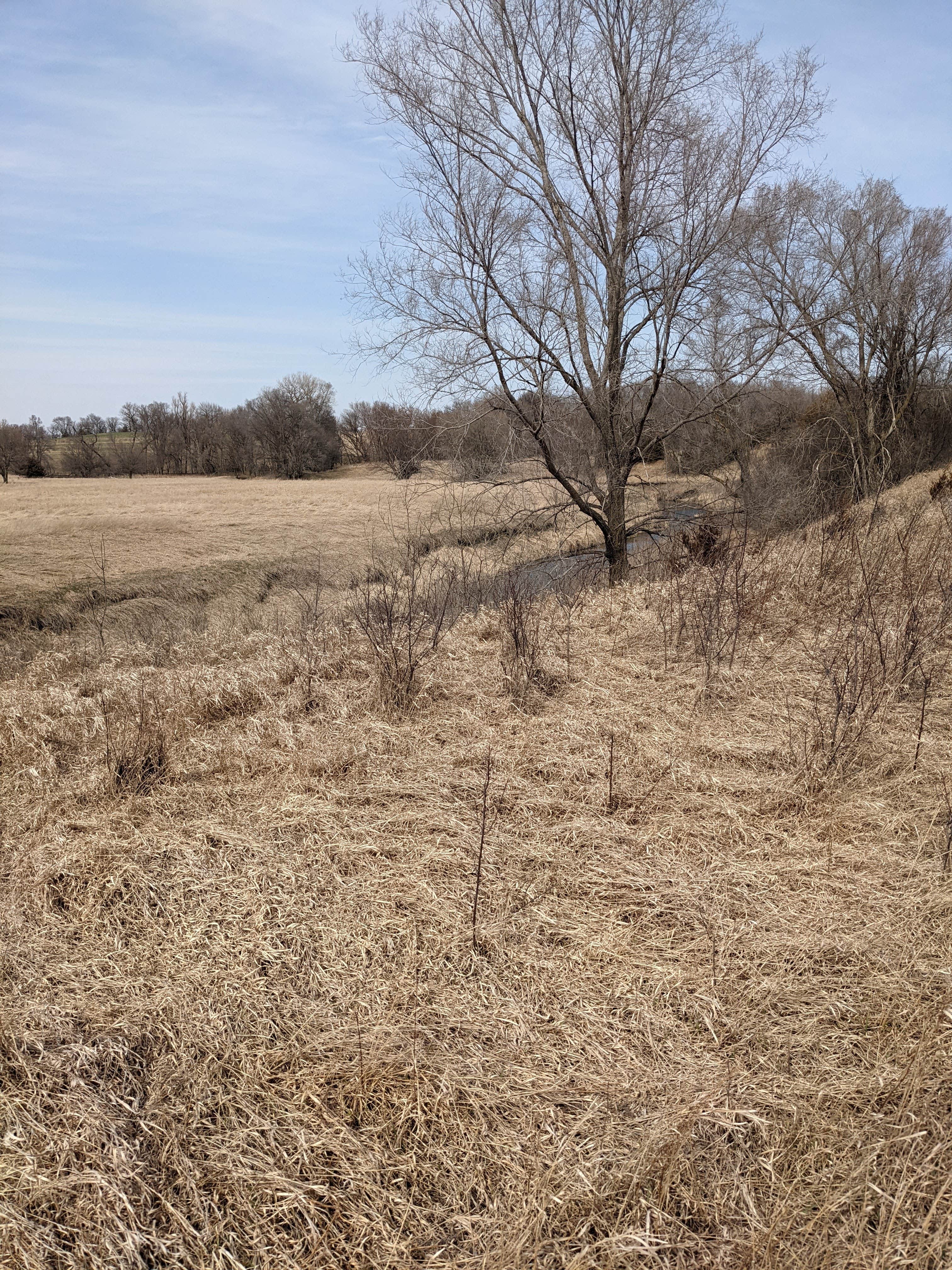 Union Grove State Park Campground