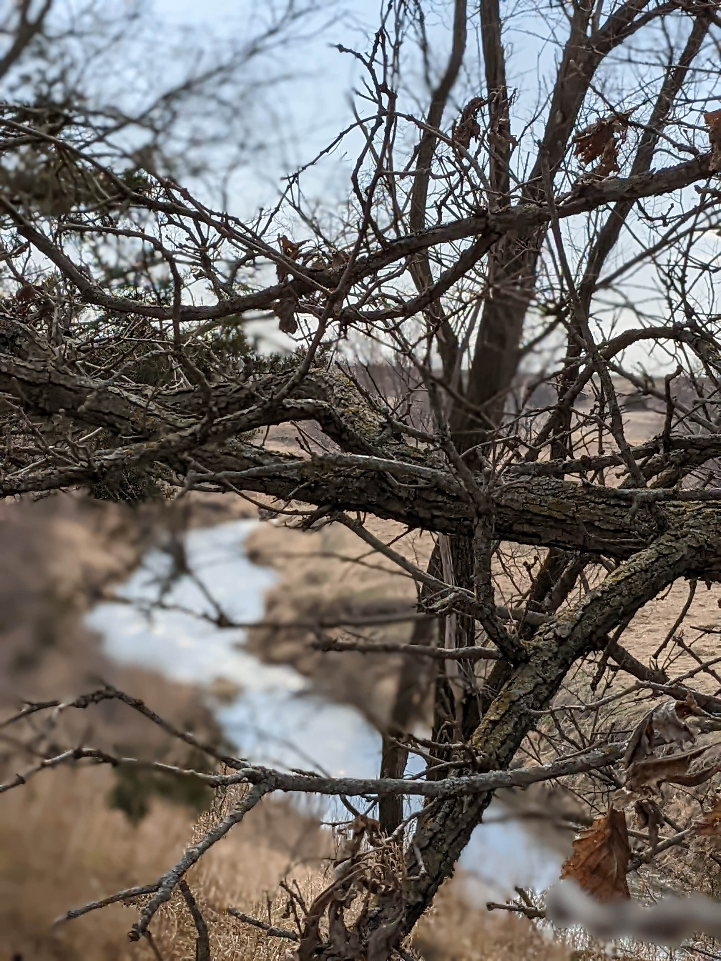 Union Grove State Park Campground