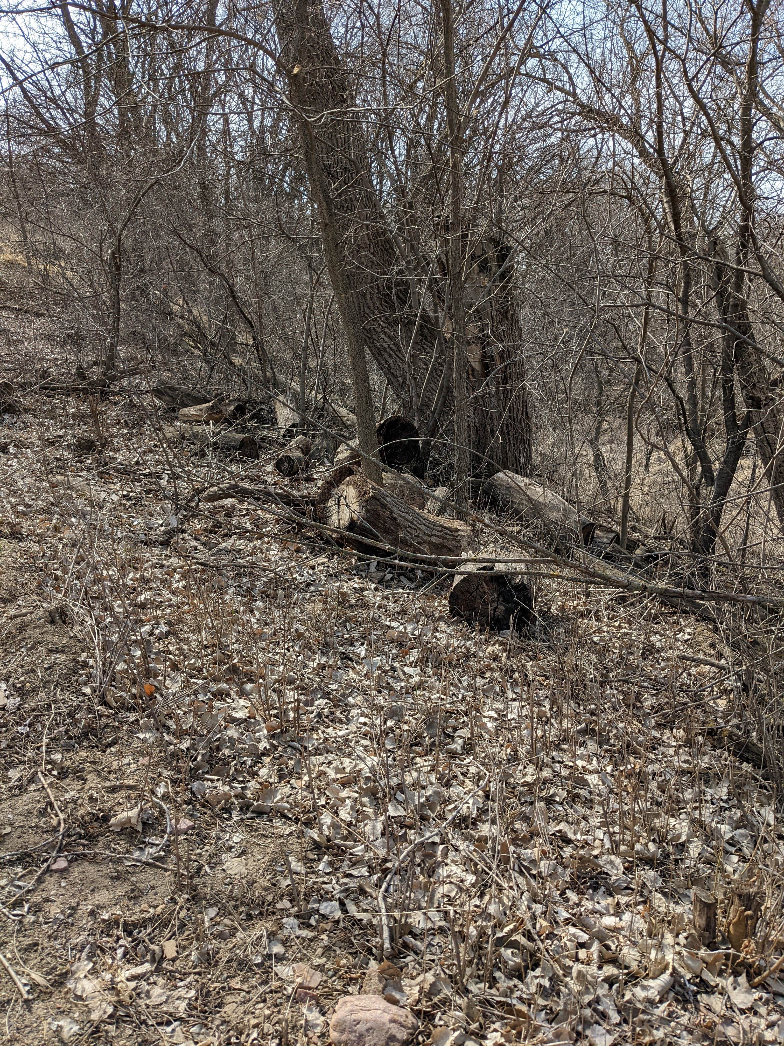 Camper-submitted photo at Union Grove State Park Campground near Beresford, SD