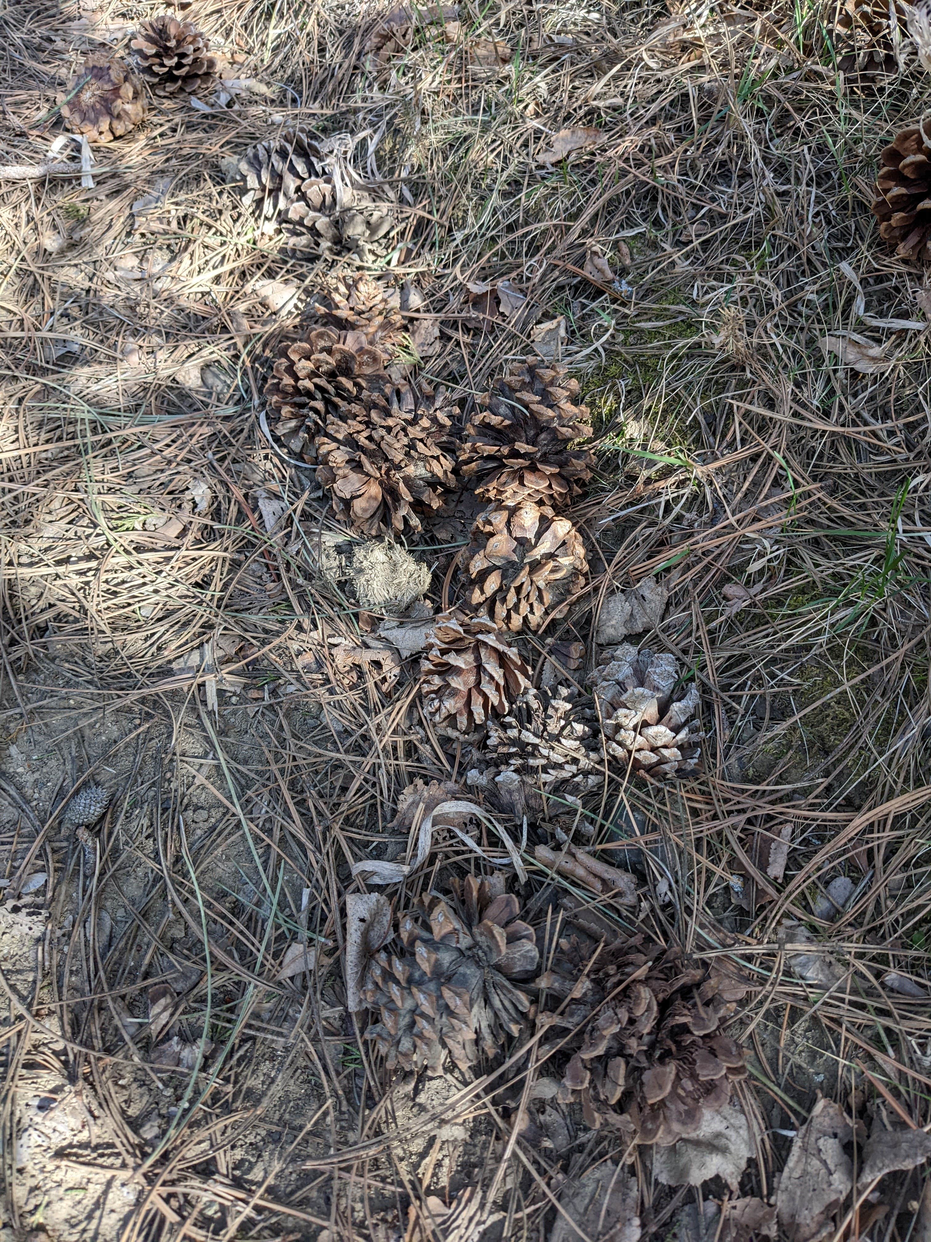 Camper-submitted photo at Union Grove State Park Campground near Beresford, SD