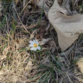 Review photo of Riverfront Campground — Ponca State Park by S U., May 12, 2023