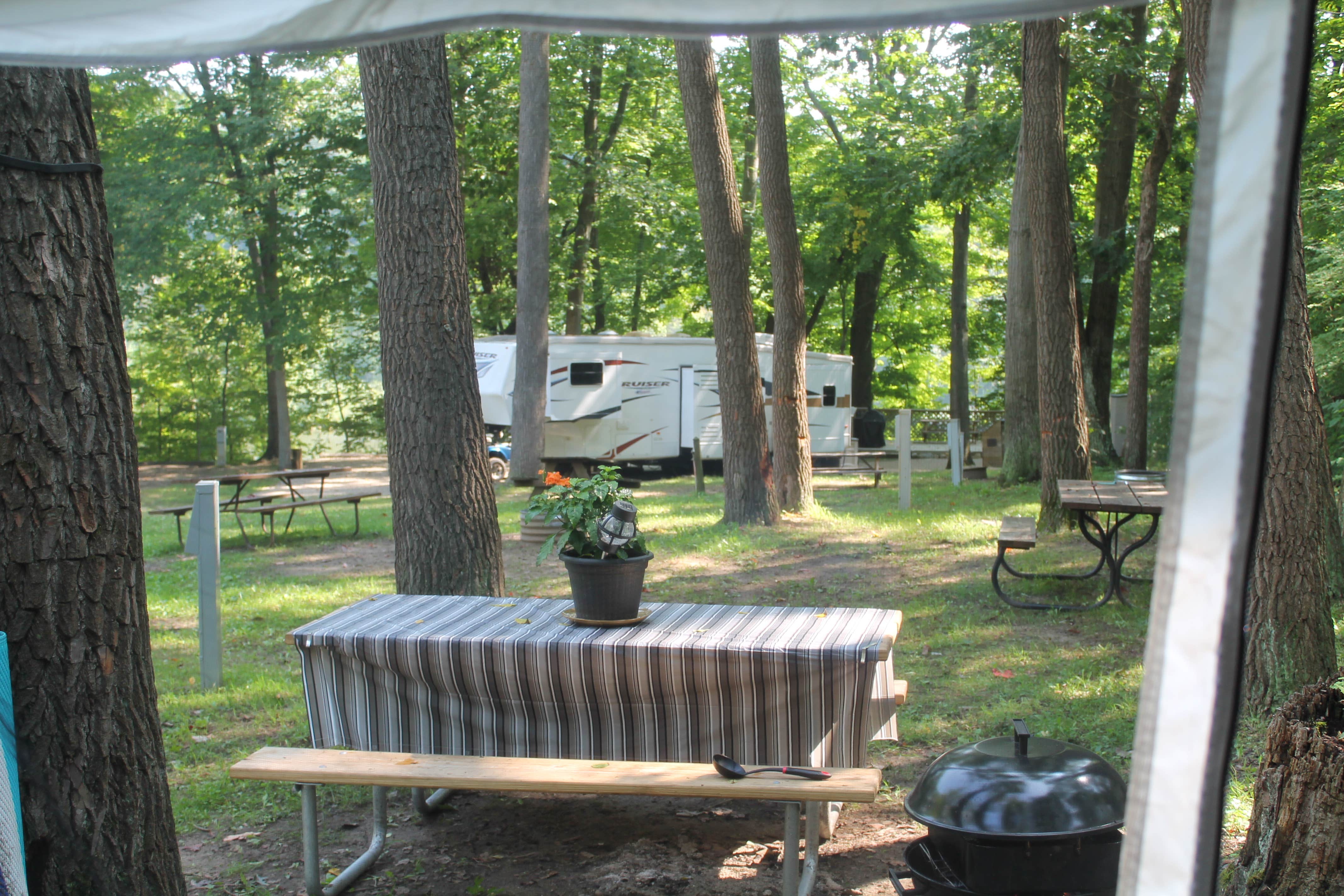 Camper submitted image from Thousand Trails Bear Cave - 2