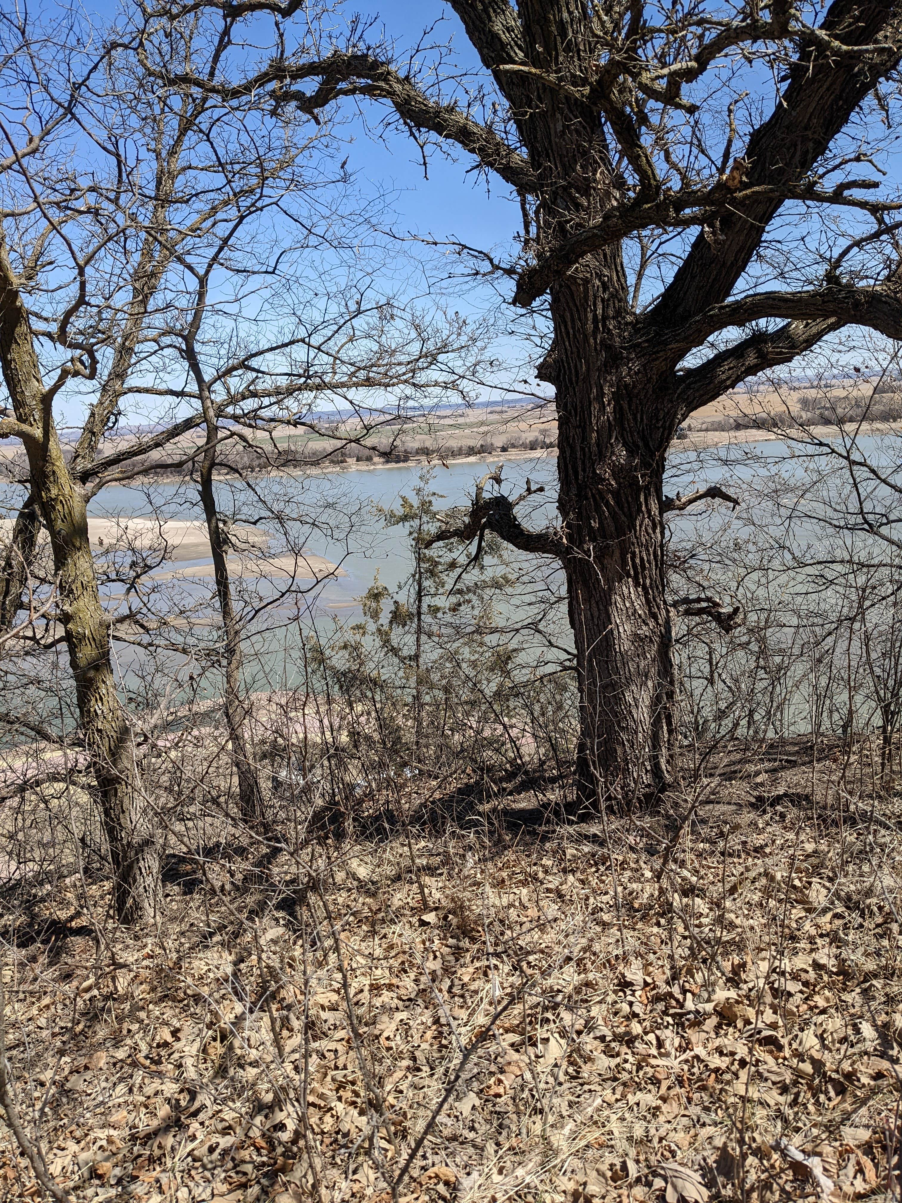 Cabins — Ponca State Park