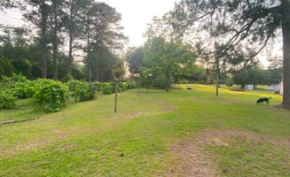 Brian G.'s photo of camping with pets at Burros Del Sol Dorado near Albany, GA
