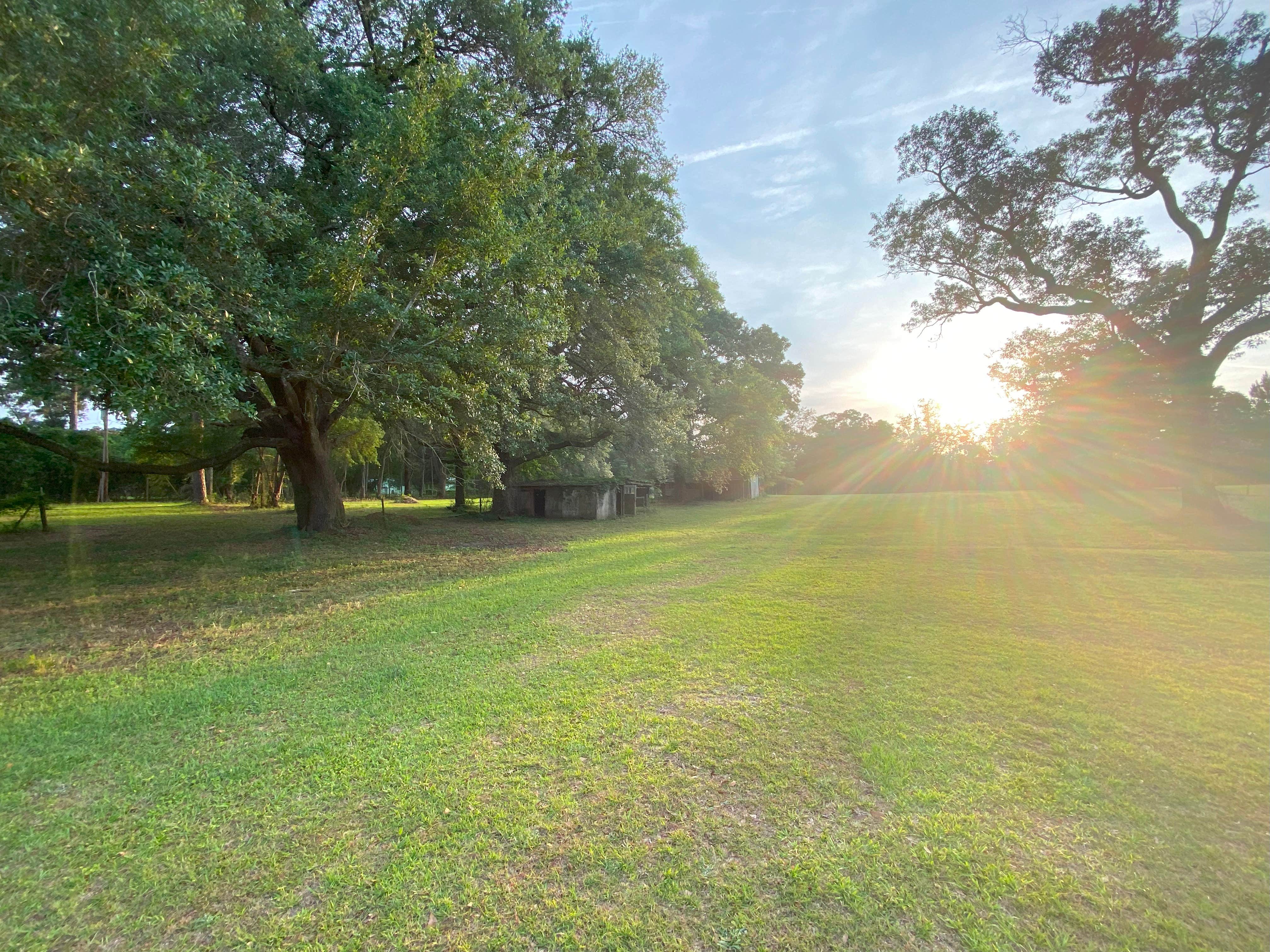 Camping near Albany RV Resort: Burros Del Sol Dorado, Albany, Georgia