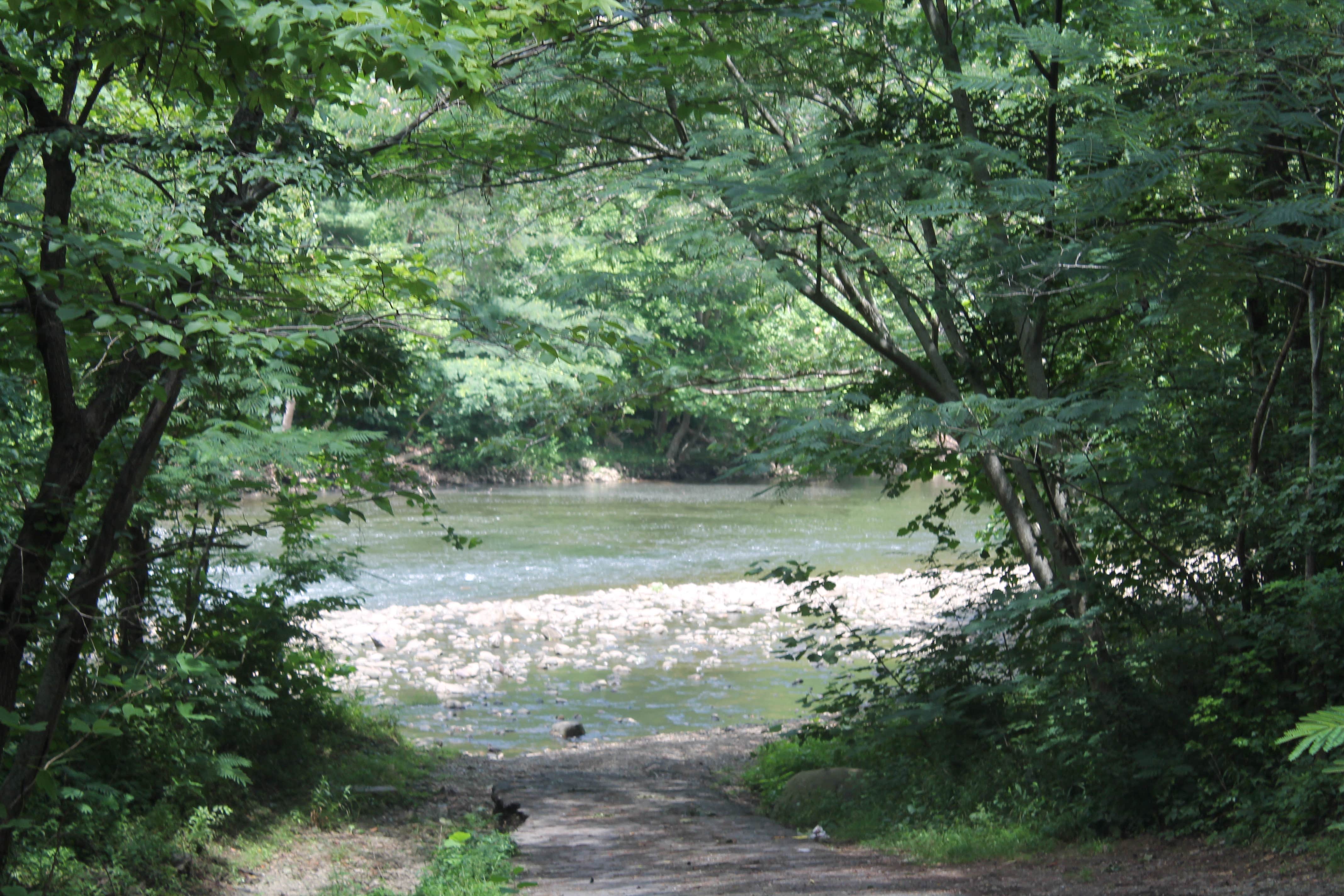 Camper submitted image from Fox Fire Riverside Campground - 3