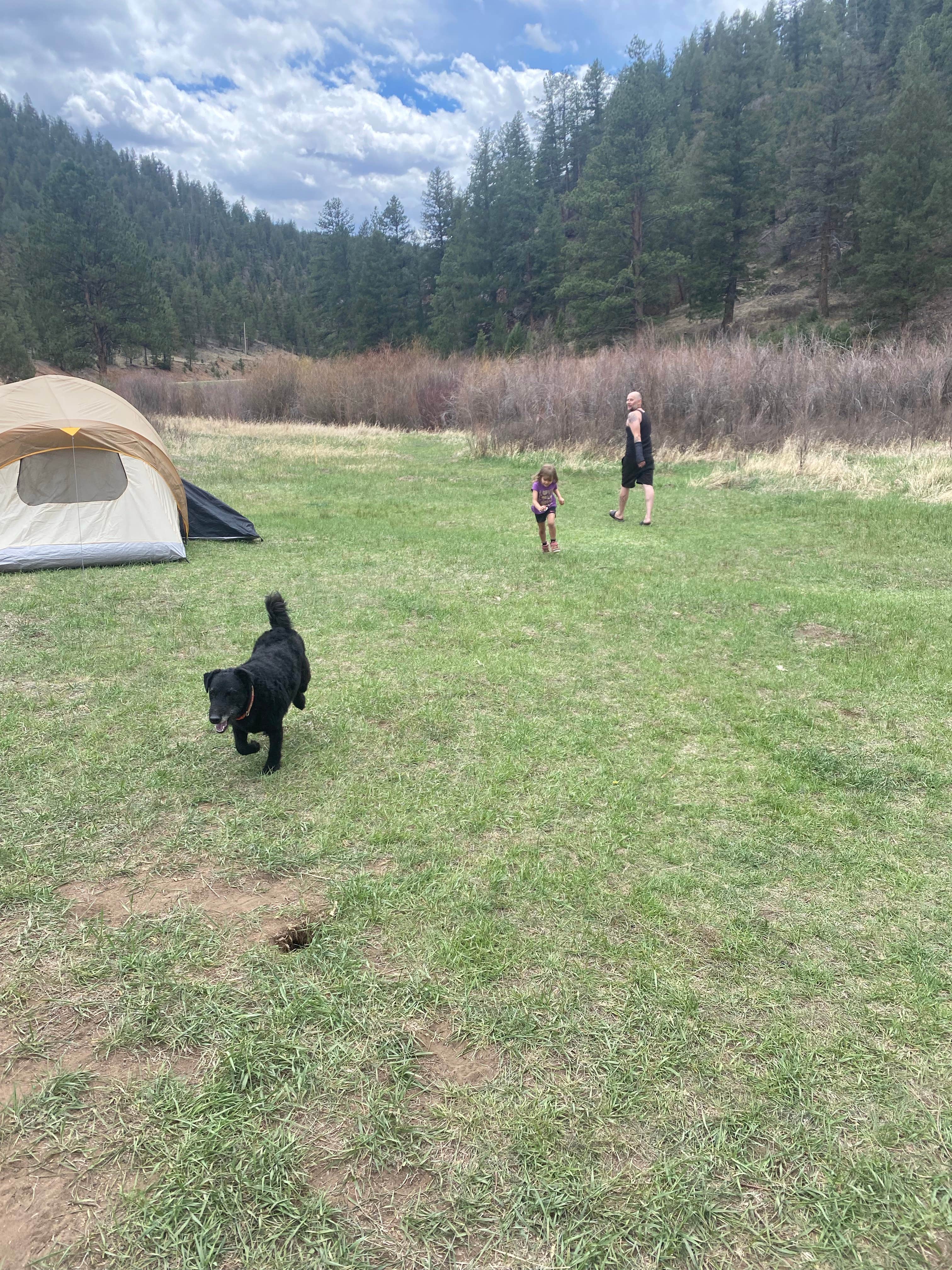 Stacy O.'s photo of tent camping at Osprey near Buffalo Creek, CO