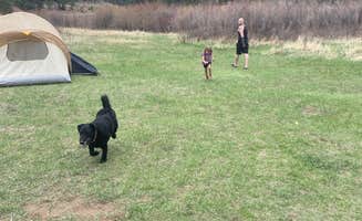 Stacy O.'s photo of tent camping at Osprey near Evergreen, CO