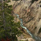 Review photo of Canyon Campground — Yellowstone National Park by Matt S., August 19, 2016