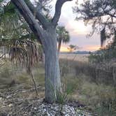 Review photo of Skidaway Island State Park Campground by David W., May 12, 2023