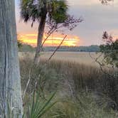 Review photo of Skidaway Island State Park Campground by David W., May 12, 2023