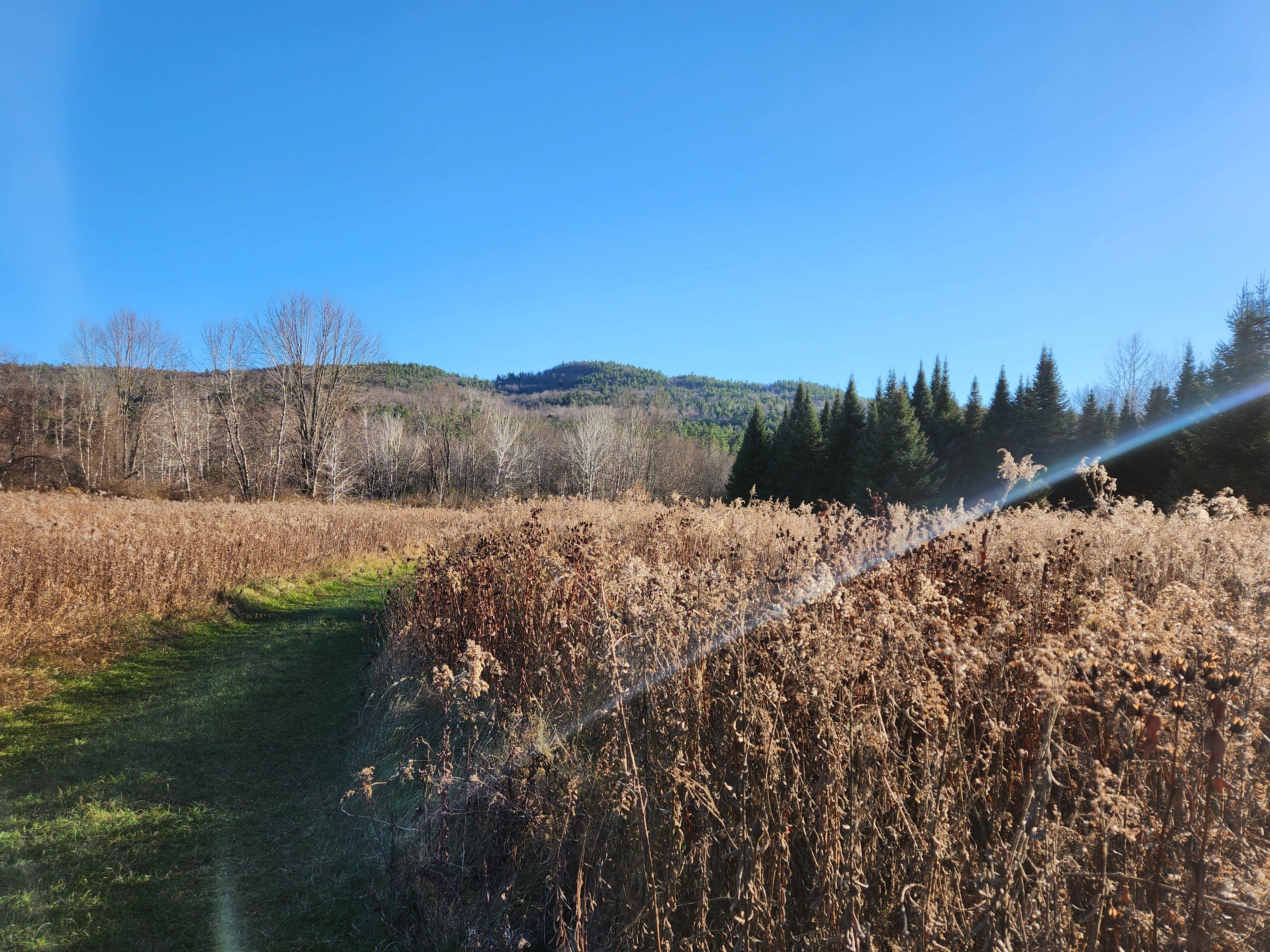 Camper submitted image from Adirondack Acres Trail and Camps - 3