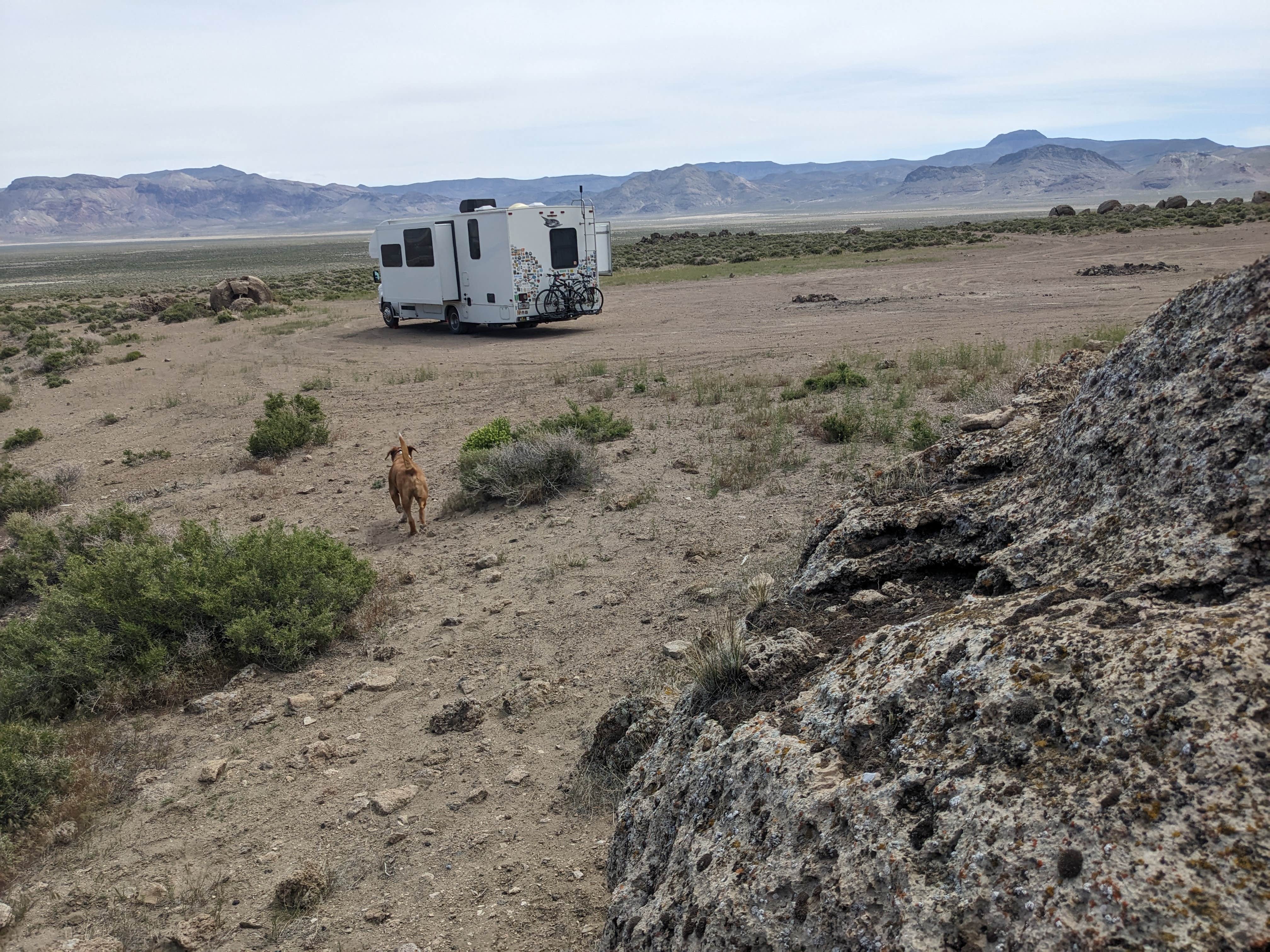 Laura M.'s photo of rv camping at East of Pyramid Lake near Fallon, NV