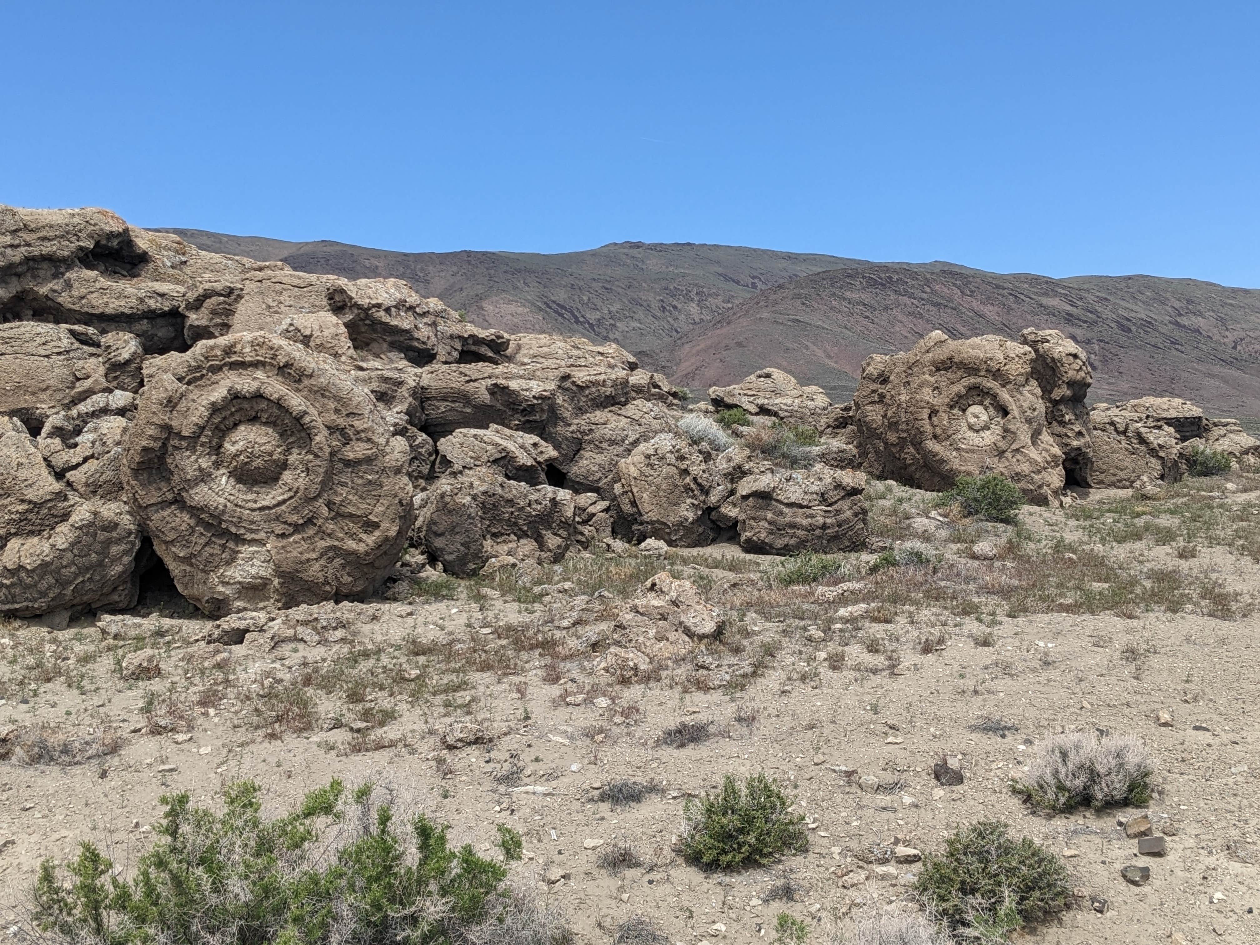 Camper submitted image from East of Pyramid Lake - 3