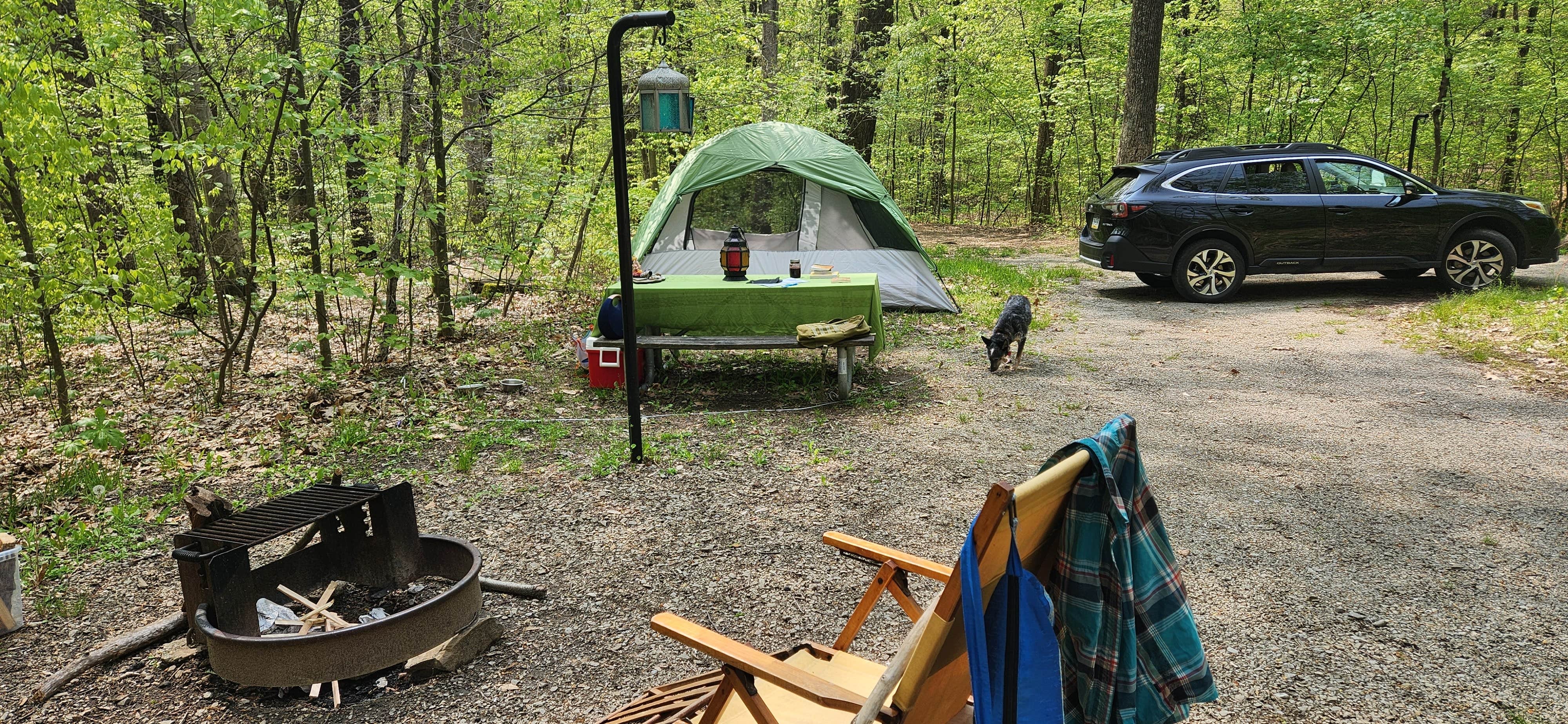 Shana M.'s photo of camping with pets at Kentuck Campground — Ohiopyle State Park near Terra Alta, WV