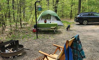 Shana M.'s photo of camping with pets at Kentuck Campground — Ohiopyle State Park near Paw Paw, WV