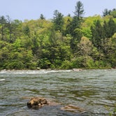 Review photo of Kentuck Campground — Ohiopyle State Park by Shana M., May 12, 2023