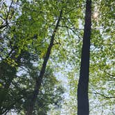 Review photo of Kentuck Campground — Ohiopyle State Park by Shana M., May 12, 2023