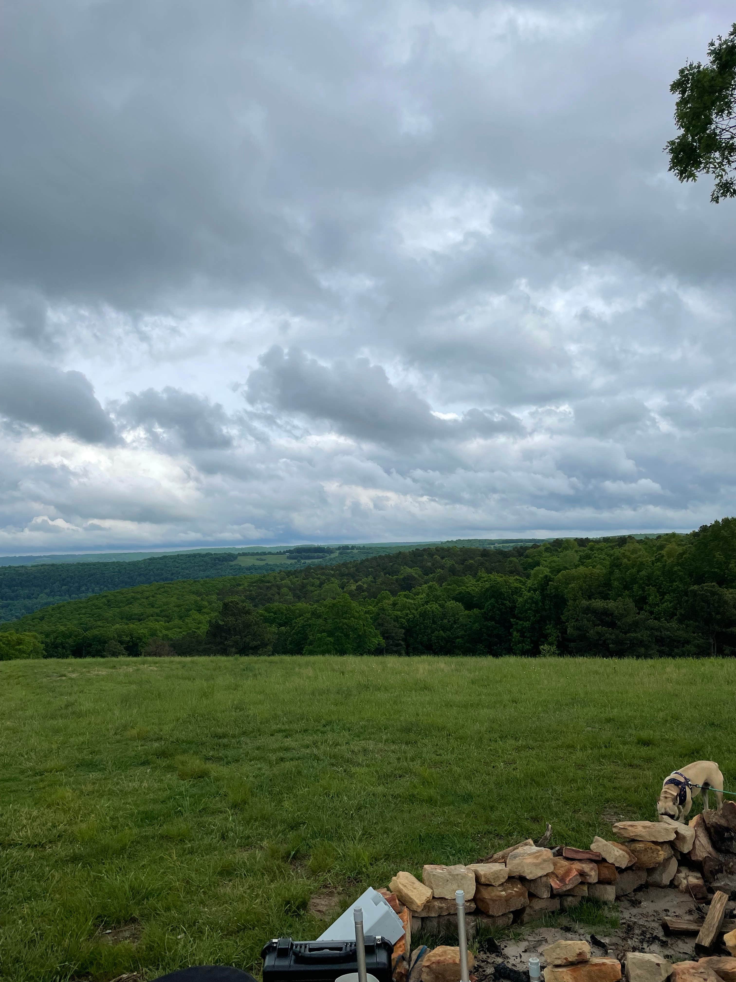 Zachary J.'s photo of camping with pets at Wilderness Rider Buffalo Ranch and Adventure Park near Huntsville, AR