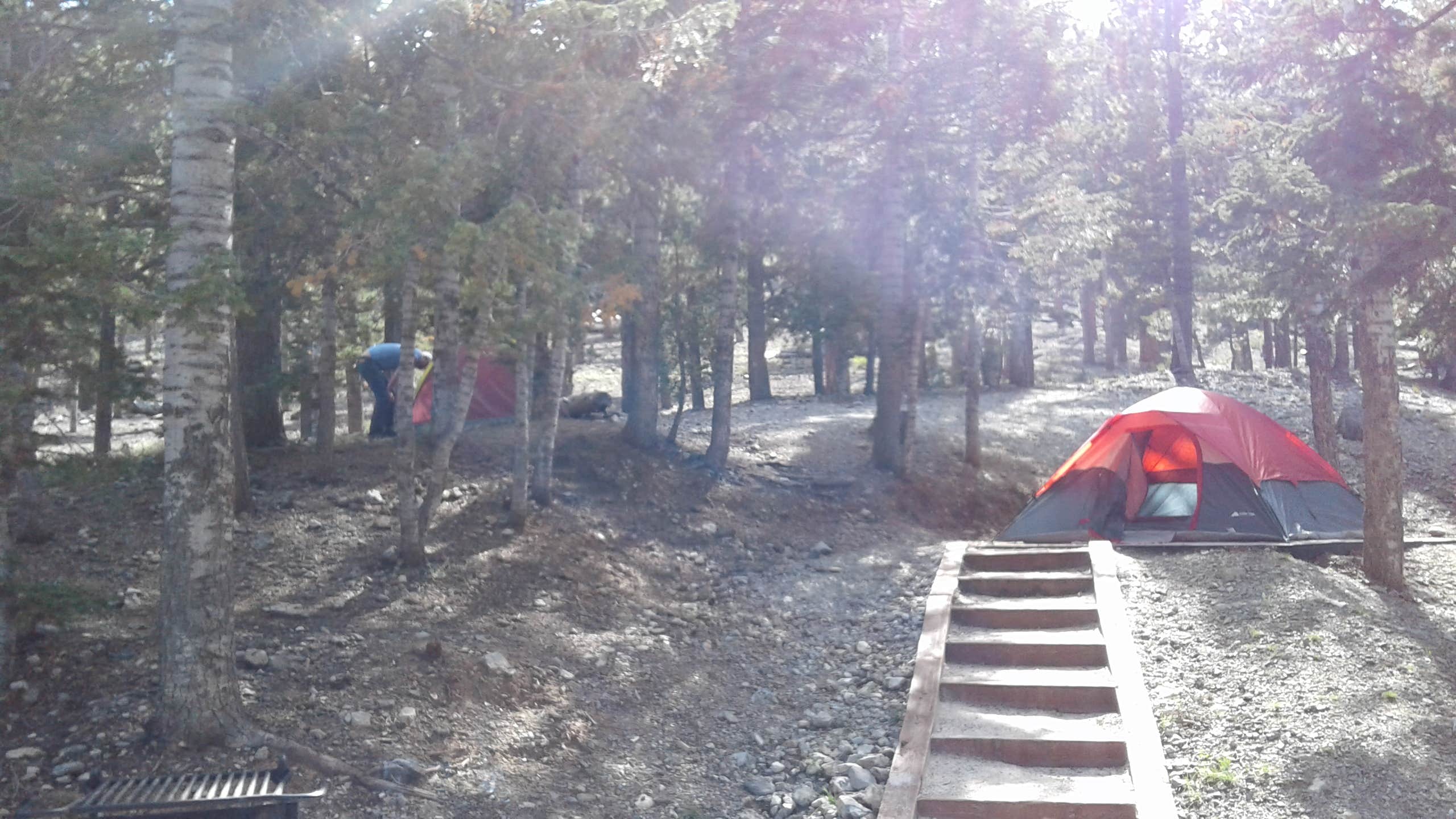 Sarah M.'s photo at McWilliams Campground near Shoshone, CA