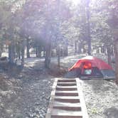 Review photo of McWilliams Campground by Sarah M., October 10, 2018