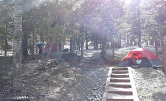 Sarah M.'s photo at McWilliams Campground near Mount Charleston, NV