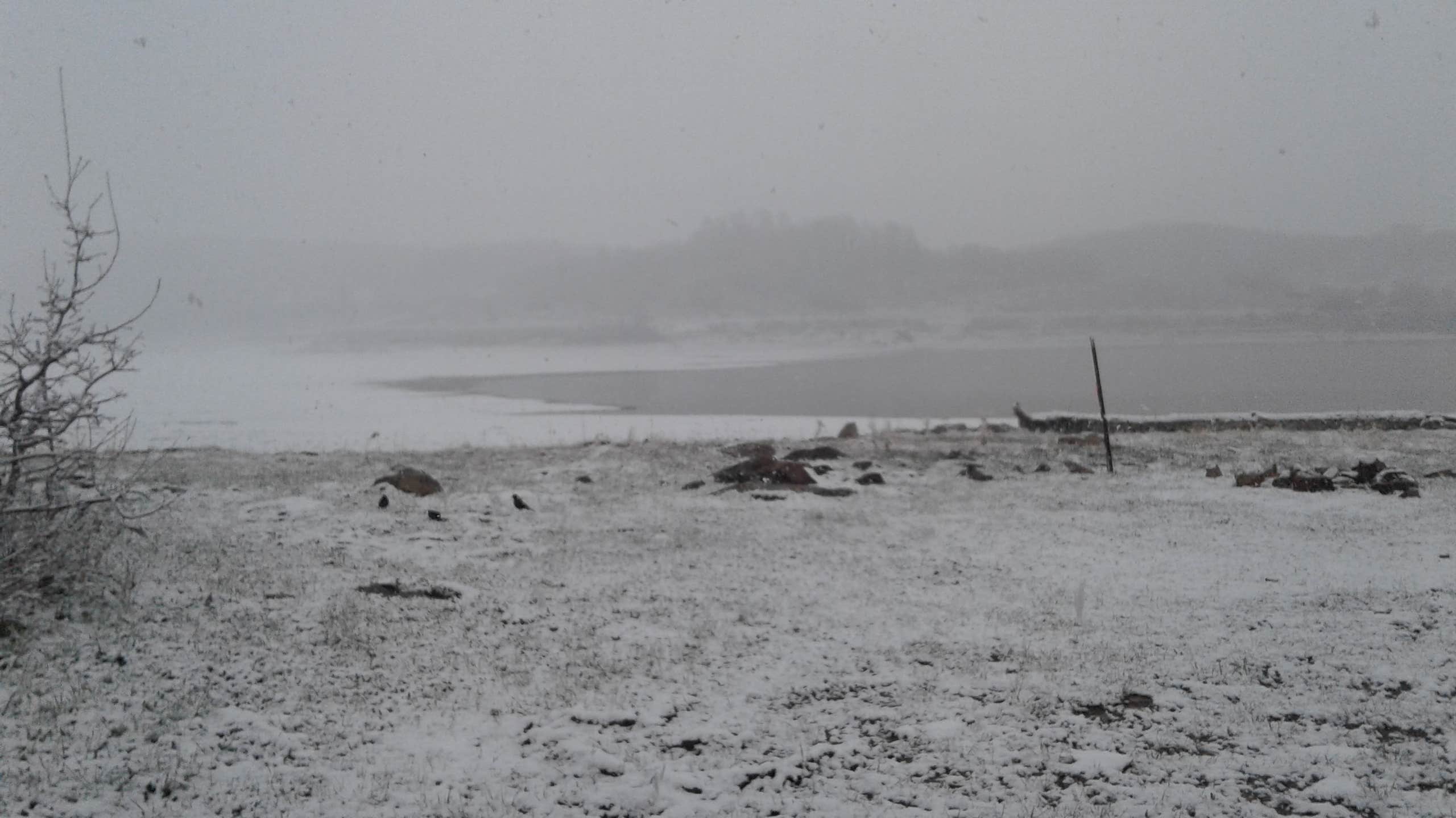 Camper-submitted photo at Kolob Resevoir near Kanarraville, UT